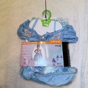 Charming Princess Toddler Dress in Blue